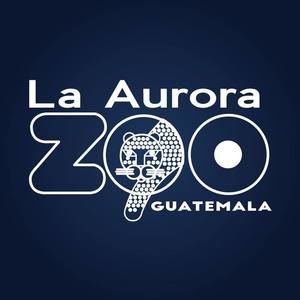 Meet your Posher, Walter